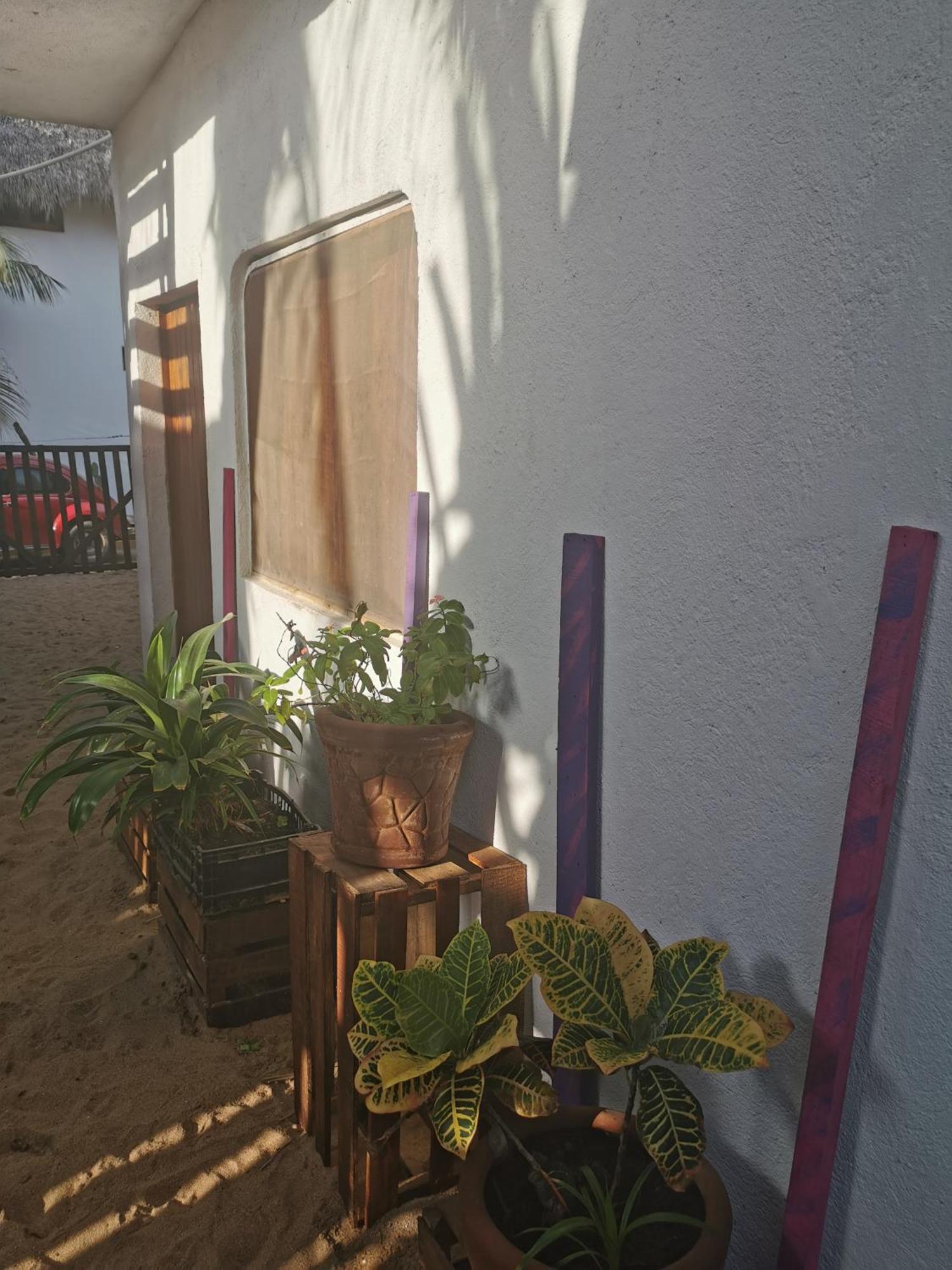 La Maxima & Lgbt Hotell Zipolite Rum bild