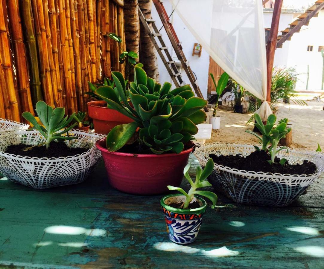 La Maxima & Lgbt Hotell Zipolite Exteriör bild